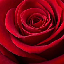 Load image into Gallery viewer, 5d Hotsale Diamond Painting Kit - DIY Custom Kits 110