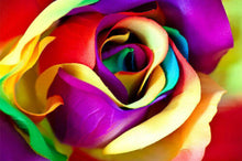 Load image into Gallery viewer, 5d Hotsale Diamond Painting Kit - DIY Custom Kits  114