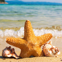 Load image into Gallery viewer, 5d Hotsale Diamond Painting Kit - DIY Custom Kits  135