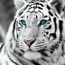 Load image into Gallery viewer, 5d Hotsale Diamond Painting Kit - DIY Custom Kits  20