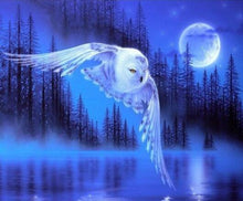 Load image into Gallery viewer, 5d Hotsale Diamond Painting Kit - DIY Custom Kits  25