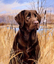 Load image into Gallery viewer, 5d Hotsale Diamond Painting Kit - DIY Custom Kits  323