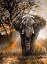 Load image into Gallery viewer, 5d Hotsale Diamond Painting Kit - DIY Custom Kits  386