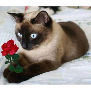 Cat And Rose Diamond Painting Kit - DIY