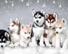 Load image into Gallery viewer, Husky Dogs Diamond Painting Kit - DIY
