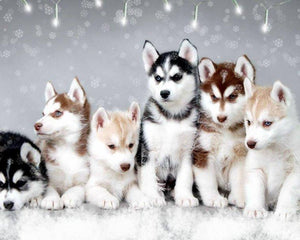 Husky Dogs Diamond Painting Kit - DIY