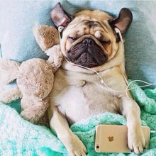 Load image into Gallery viewer, Pugs Listen Music Diamond Painting Kit - DIY
