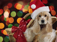 Load image into Gallery viewer, Dog Christmas Toy Diamond Painting Kit - DIY
