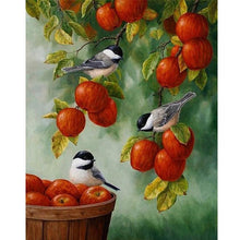 Load image into Gallery viewer, Apple Birds Diamond Painting Kit - DIY
