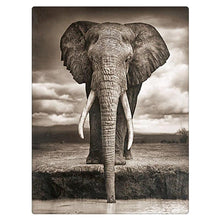 Load image into Gallery viewer, Drinking Elephant Diamond Painting Kit - DIY
