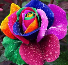 Load image into Gallery viewer, Rainbow Rose Diamond Painting Kit - DIY
