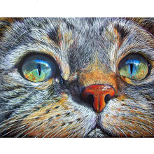 Load image into Gallery viewer, Cat face Diamond Painting Kit - DIY
