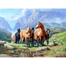 Load image into Gallery viewer, Horse On The Grass Diamond Painting Kit - DIY
