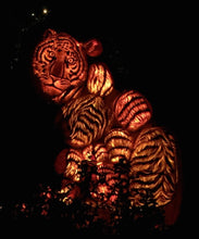 Load image into Gallery viewer, Tiger Lights Diamond Painting Kit - DIY

