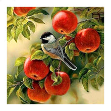Load image into Gallery viewer, Bird In Apple Diamond Painting Kit - DIY
