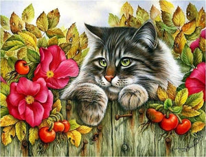 5d Cat Diamond Painting Kit Premium-13