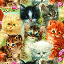 Load image into Gallery viewer, 5d Cat Diamond Painting Kit Premium-36
