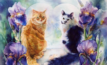 Load image into Gallery viewer, 5d Cat Diamond Painting Kit Premium-42
