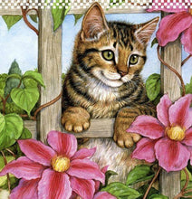 Load image into Gallery viewer, 5d Cat Diamond Painting Kit Premium-65
