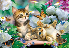 Load image into Gallery viewer, 5d Cat Diamond Painting Kit Premium-80
