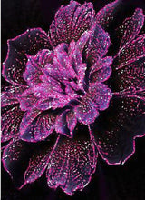 Load image into Gallery viewer, Flower Diamond Painting Kit - DIY Flower-64
