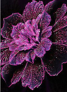 Flower Diamond Painting Kit - DIY Flower-64