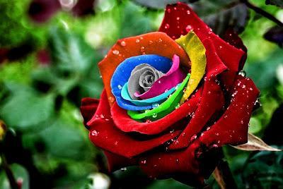 Rainbow Flowers Diamond Painting Kit - DIY Rainbow Flowers-16