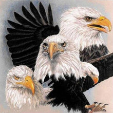 Load image into Gallery viewer, Eagle And Eagle Diamond Painting Kit - DIY
